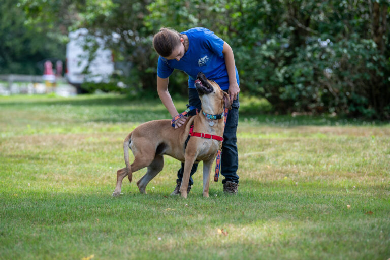 Join Maggie the very friendly and affectionate dog at Woofstock!