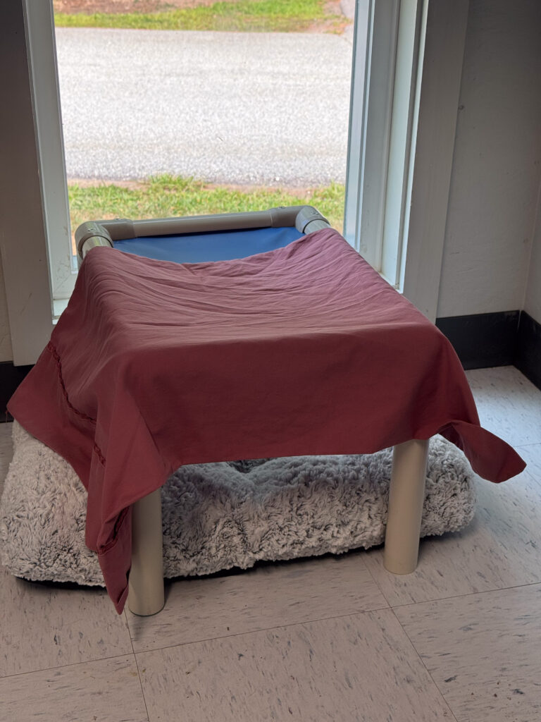 A covered space with a bed under it, perfect hiding space for a sweet and shy pair.