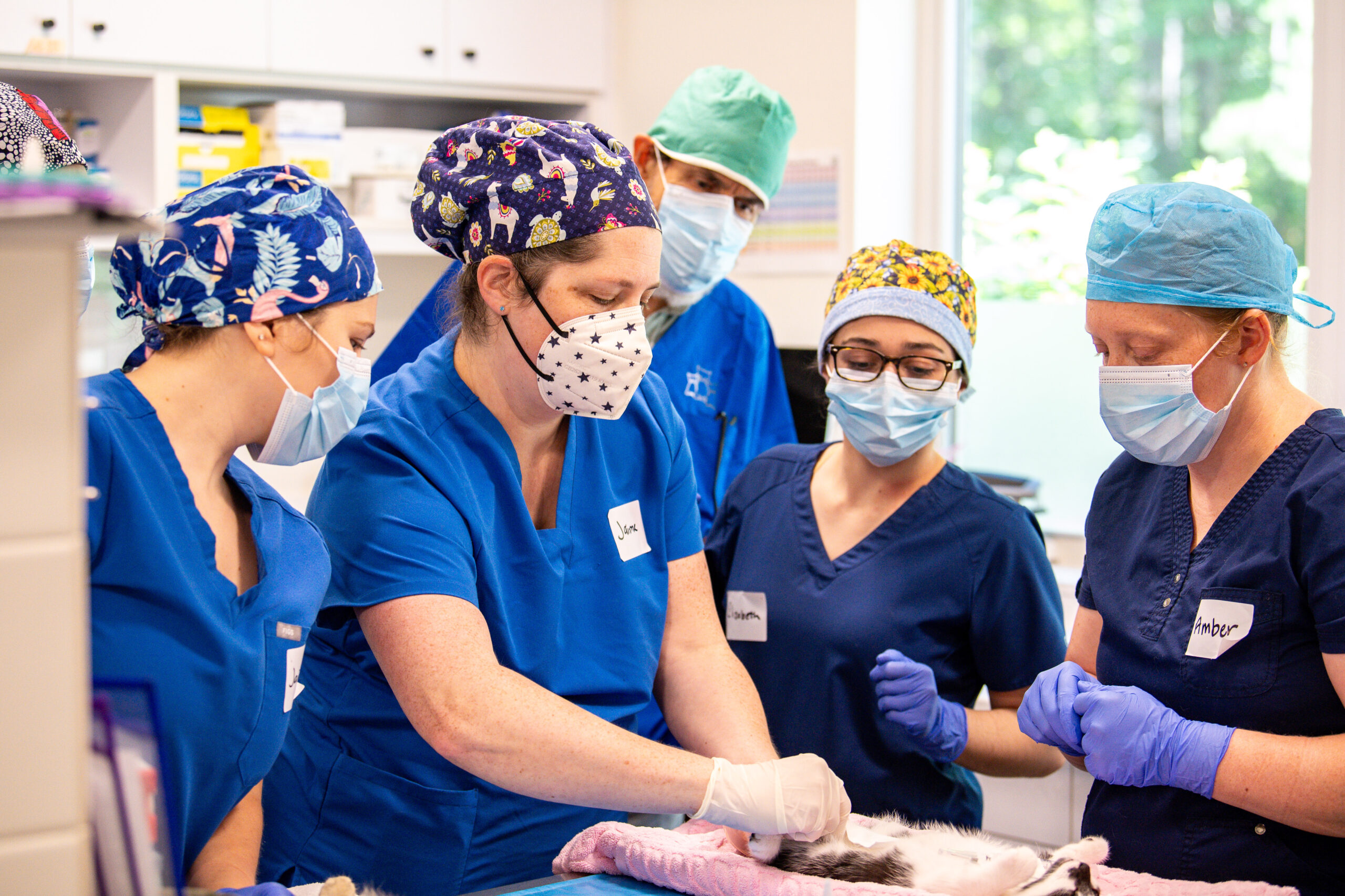 Clinic Hosts HQHVSN Workshop