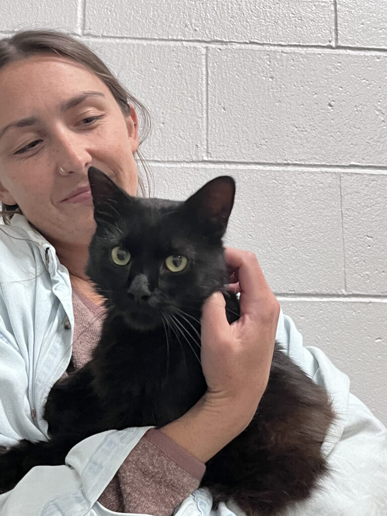 jack the black cat sits in the arms of a brown haired woman