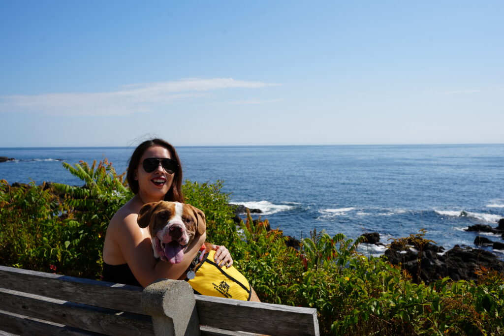 Fall for Bluto, this adorable guy who's sitting on a bench with a person hugging him with the ocean in the background.