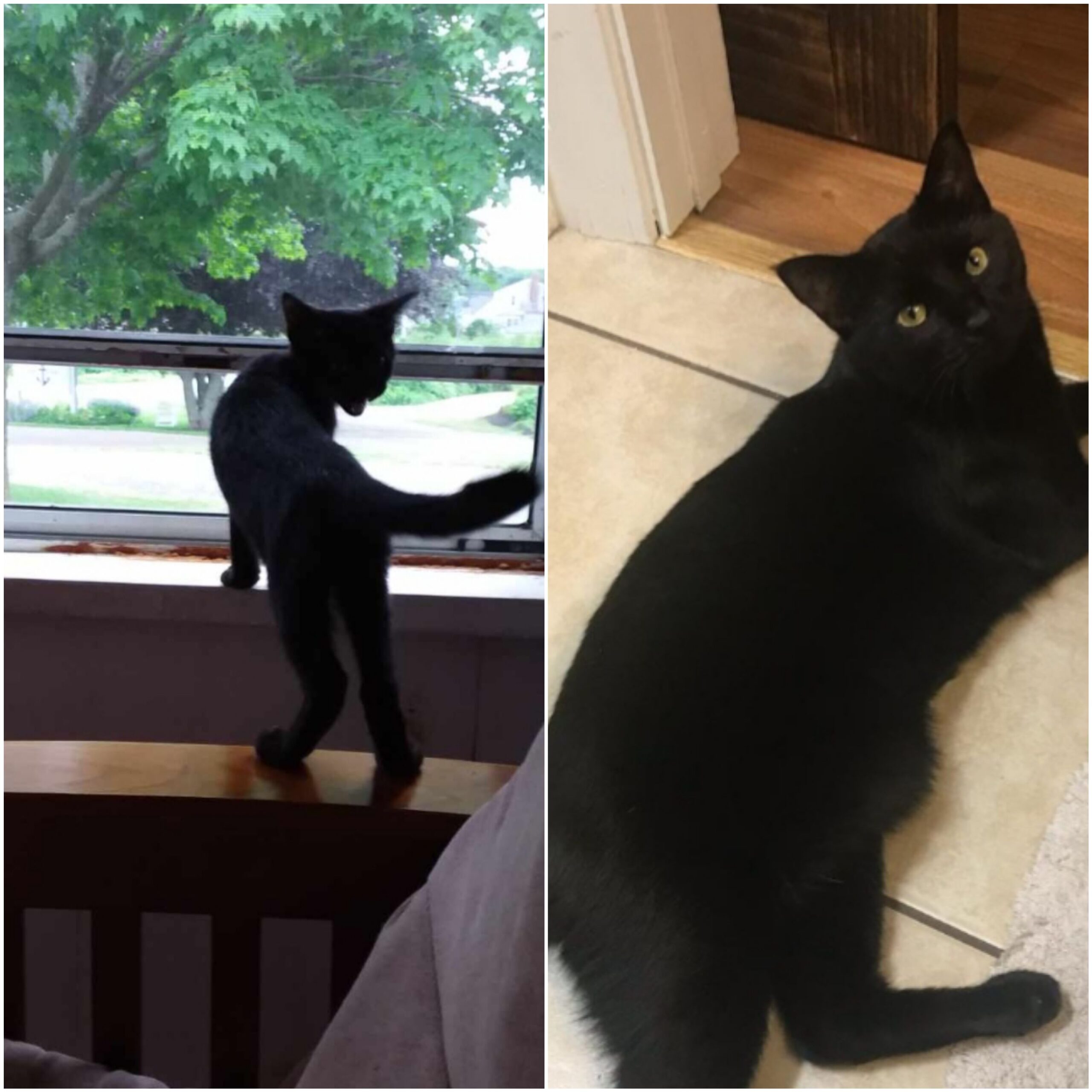 Mike aka Prince Michael