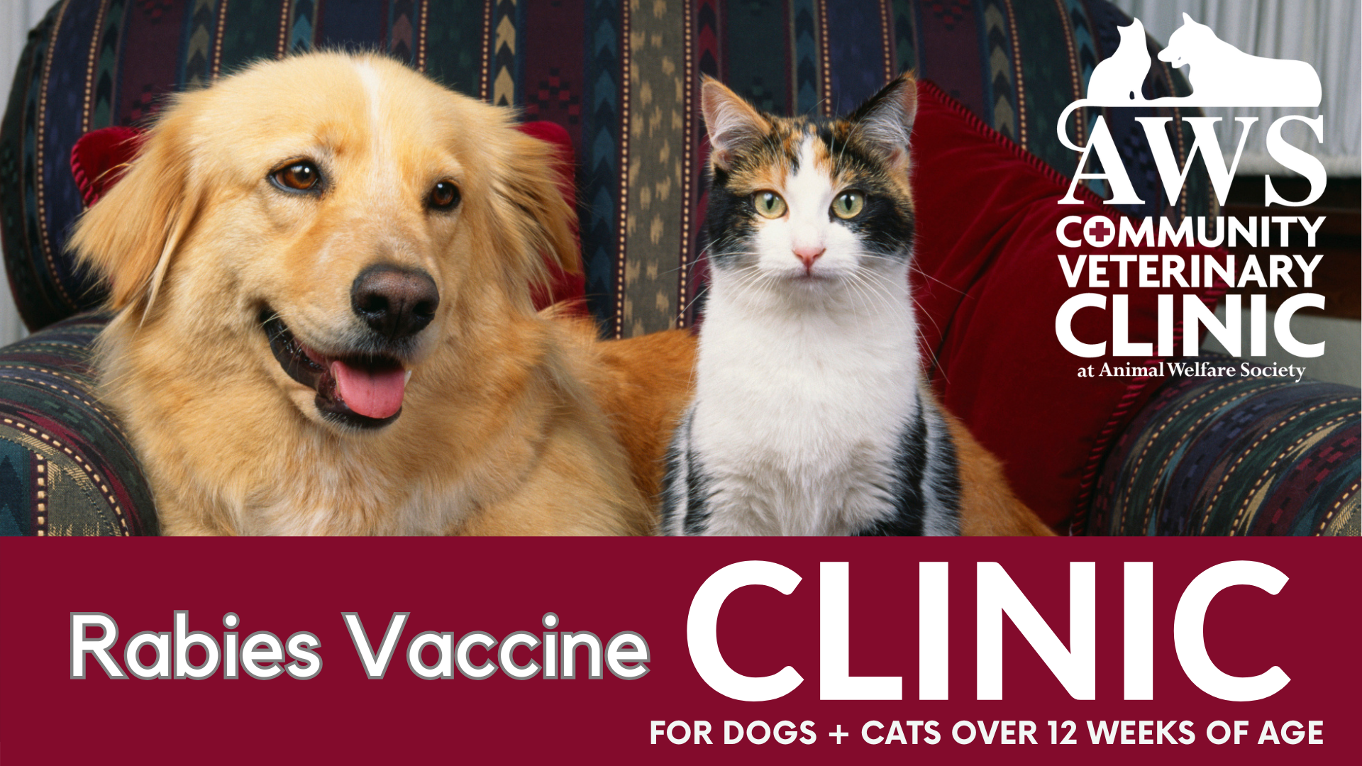awsmaine-rabiesclinicVET101825