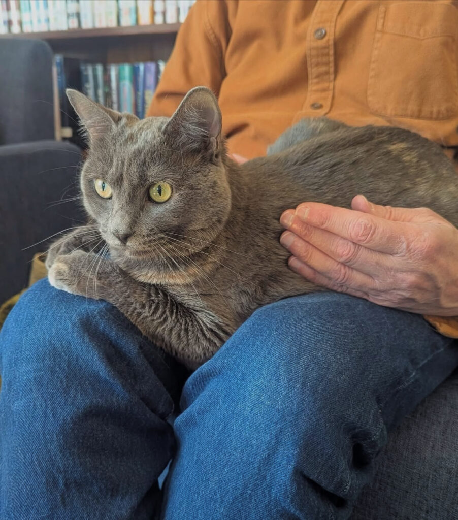 Diana, one of the AWS and Kennebunk Free Library Alums.