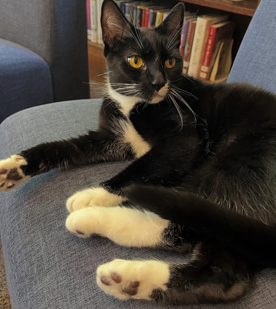 Savannah May, one of the AWS and Kennebunk Free Library Alums.