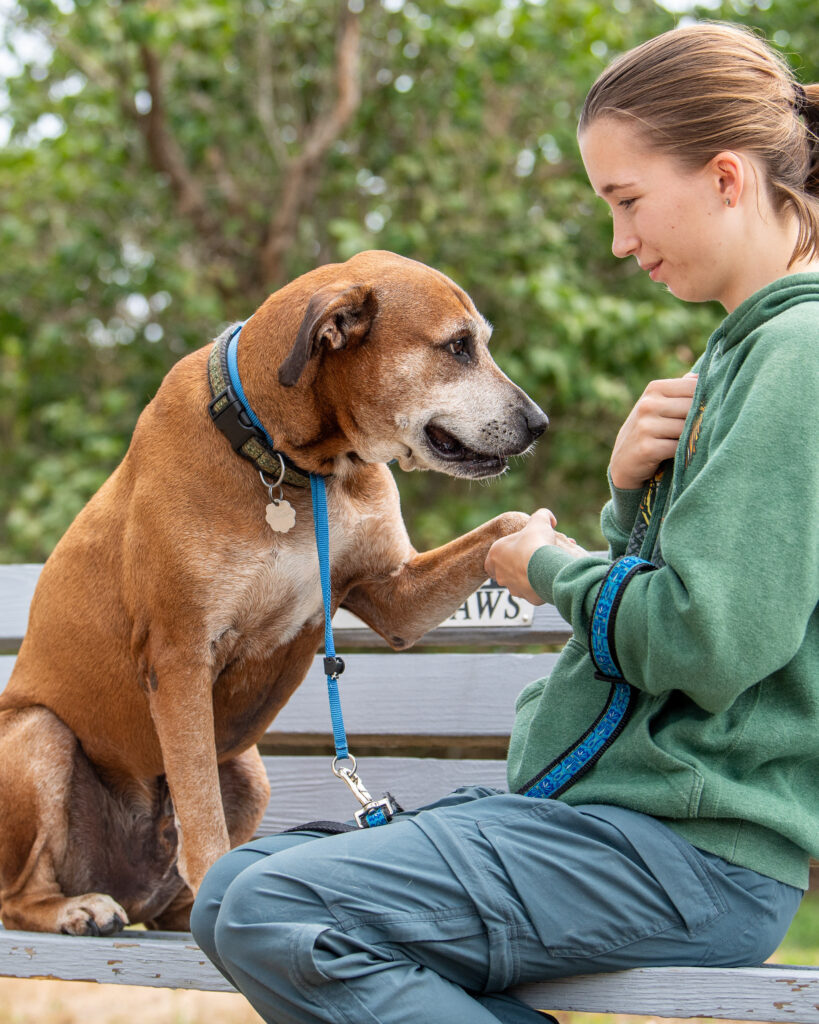 Eddie the dog sits on a bench and gives paw to an AWS staff member while celebrating the week of Eddie.