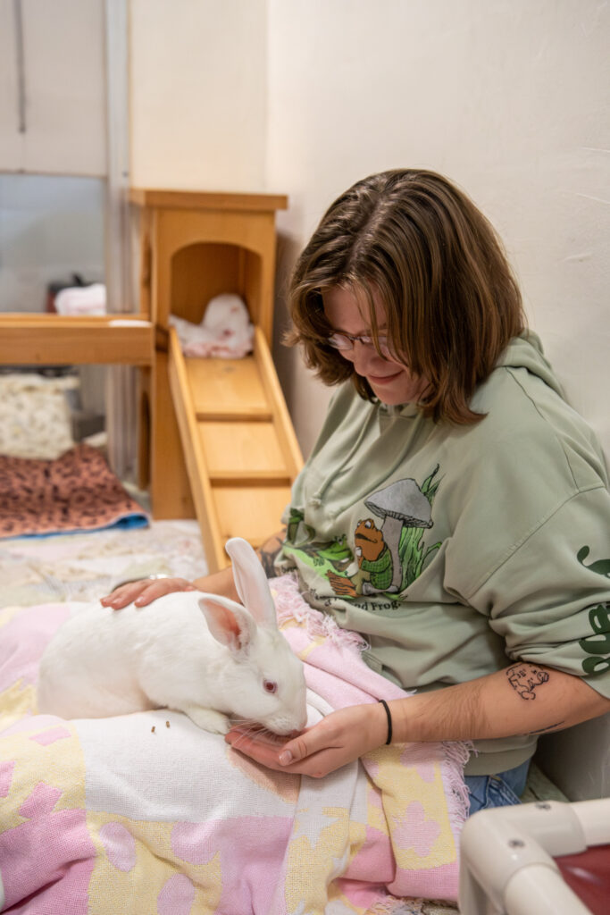 Fluff, the white rabbit who's telling you the five reasons rabbits make perfect pets, sits in an AWS staff members lap.