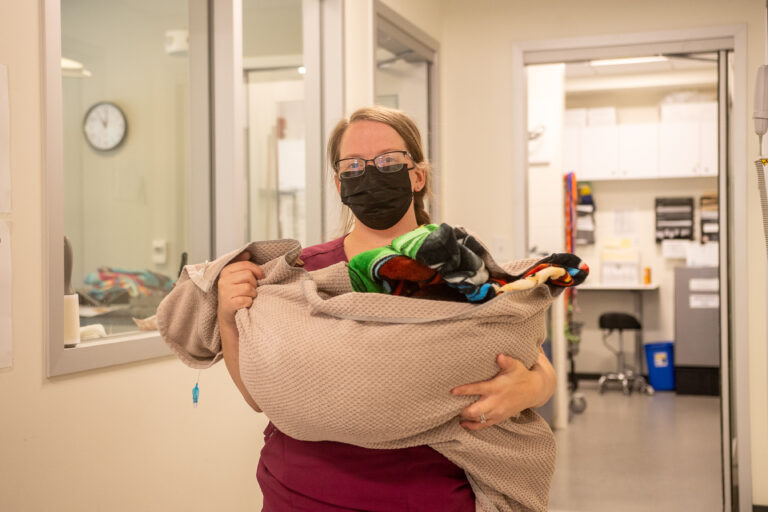 An AWS vet tech carries a patient wrapped in blankets.