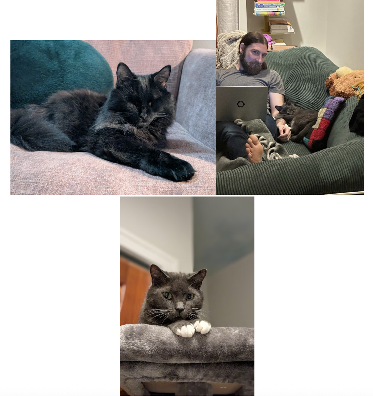 Valerie & Harmony now Julien & Lucy