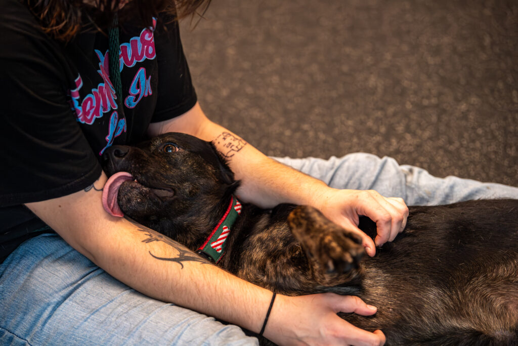 Snuggle up with Shadow, the adorable dog who's pictured here laying in an ACT's lap and licking their arms.