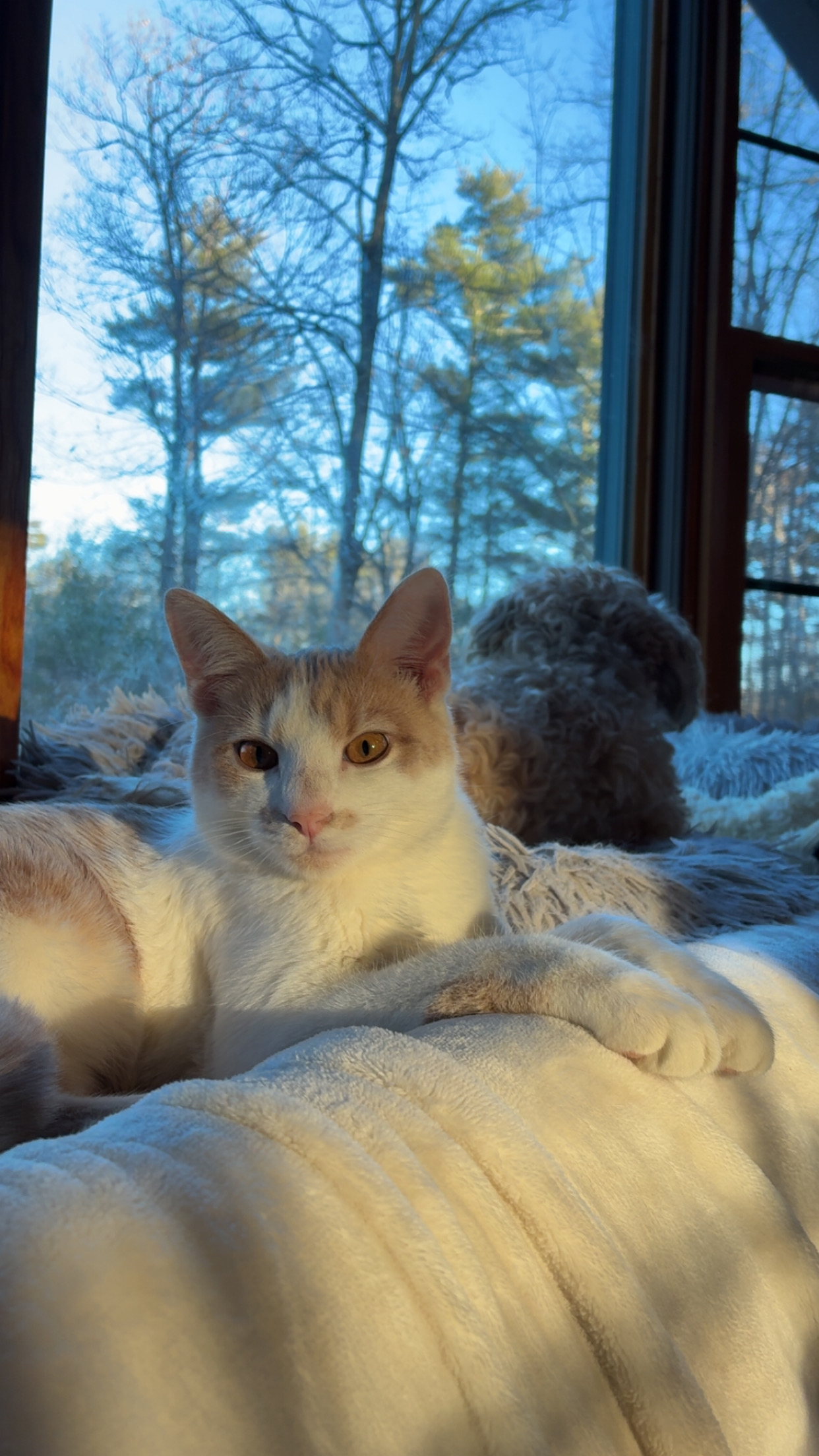 Killian now Nigel Thornberry