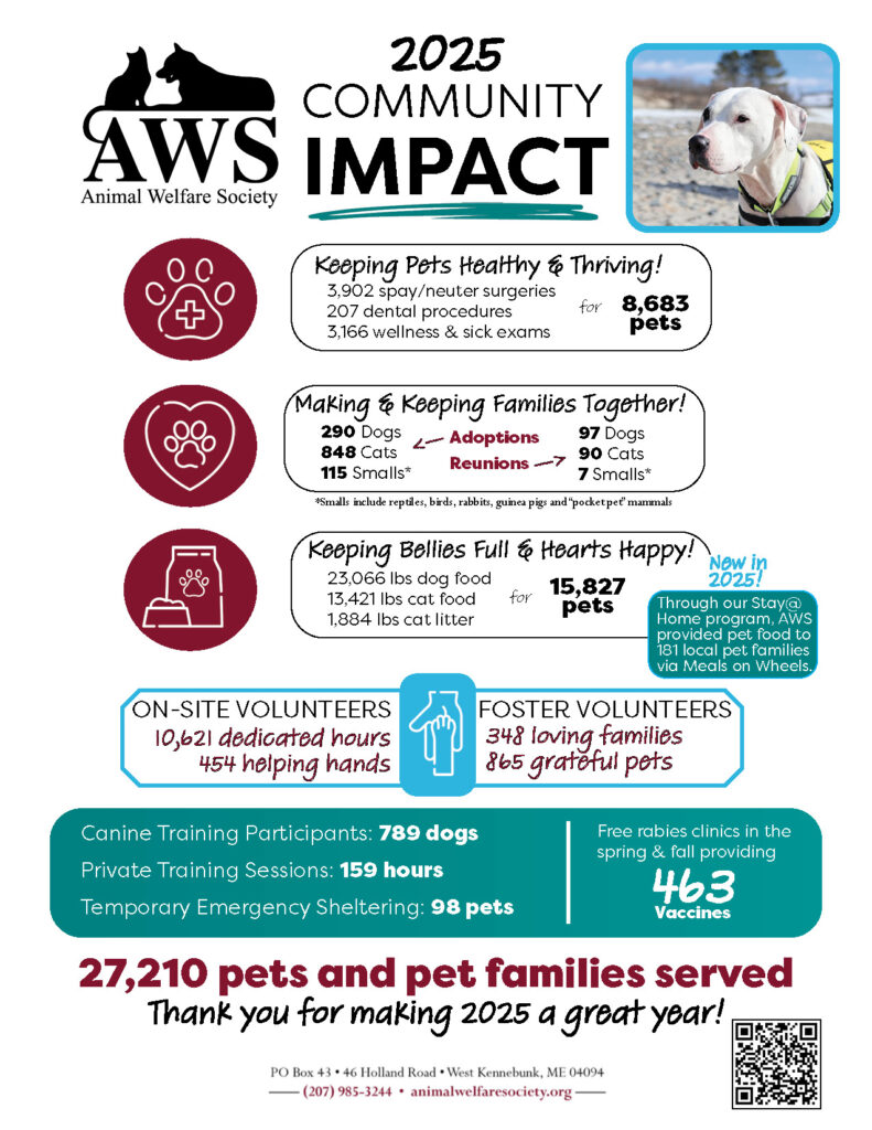 infograph showing AWS community impact in 2025