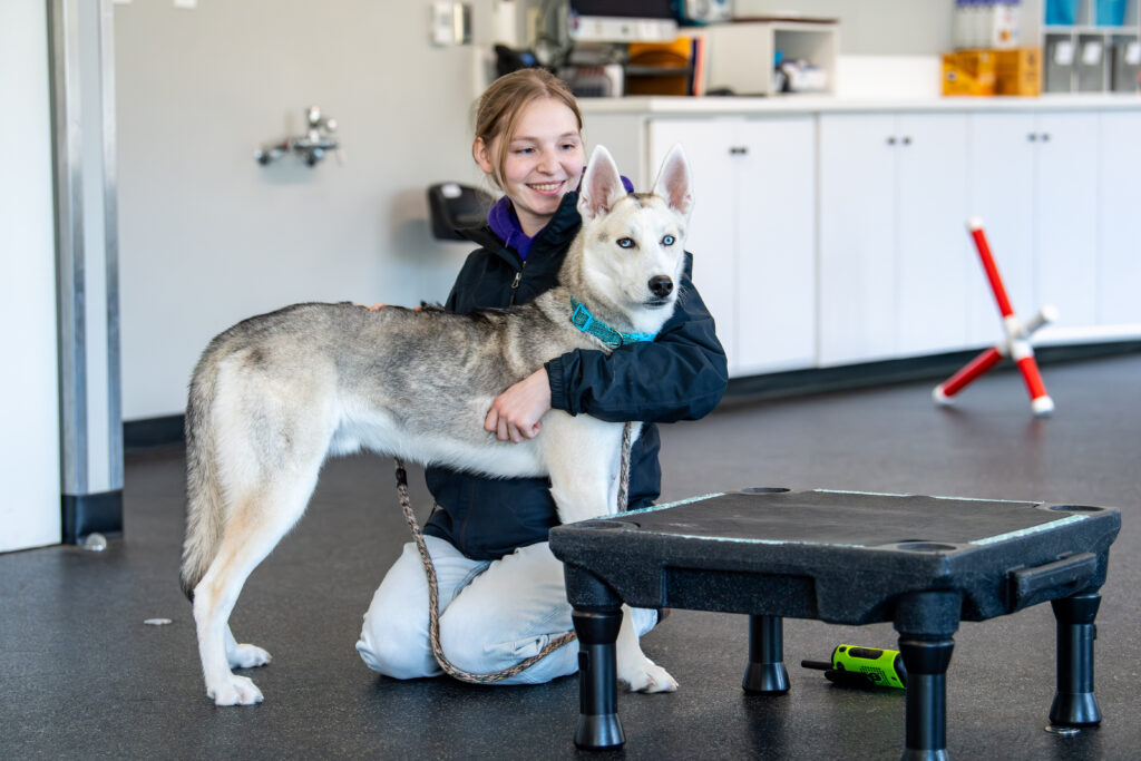 Wolfie's, pictured here in the Canine Training room at AWS, wish for a friend is quite large!