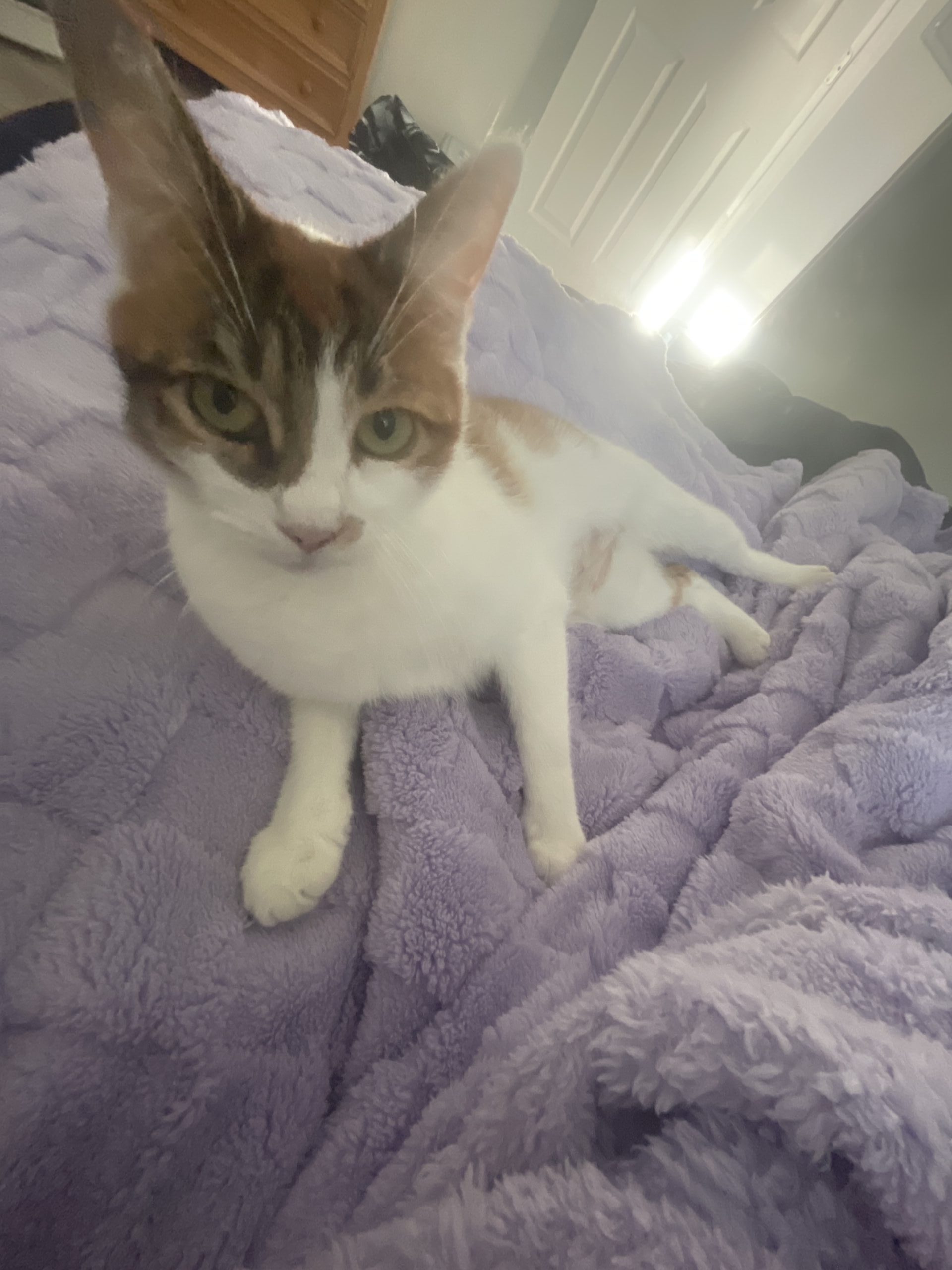 Matilda now Honeybunn