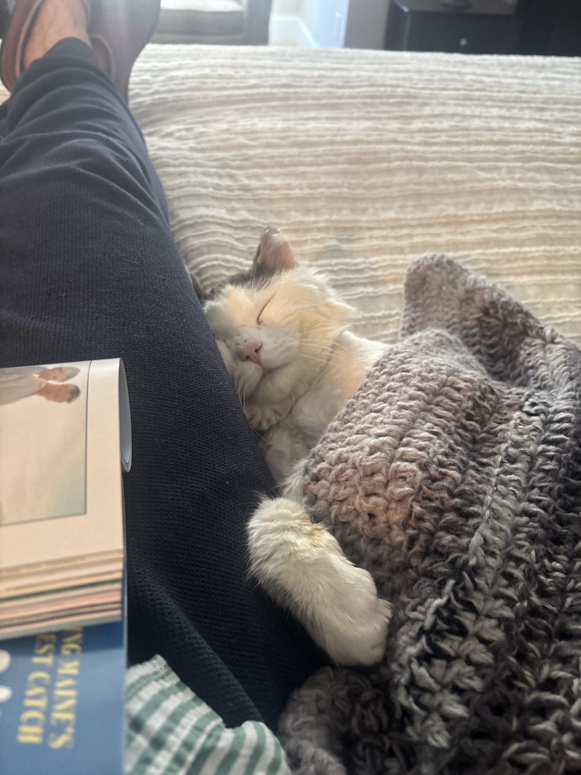 Remington now Gilbert