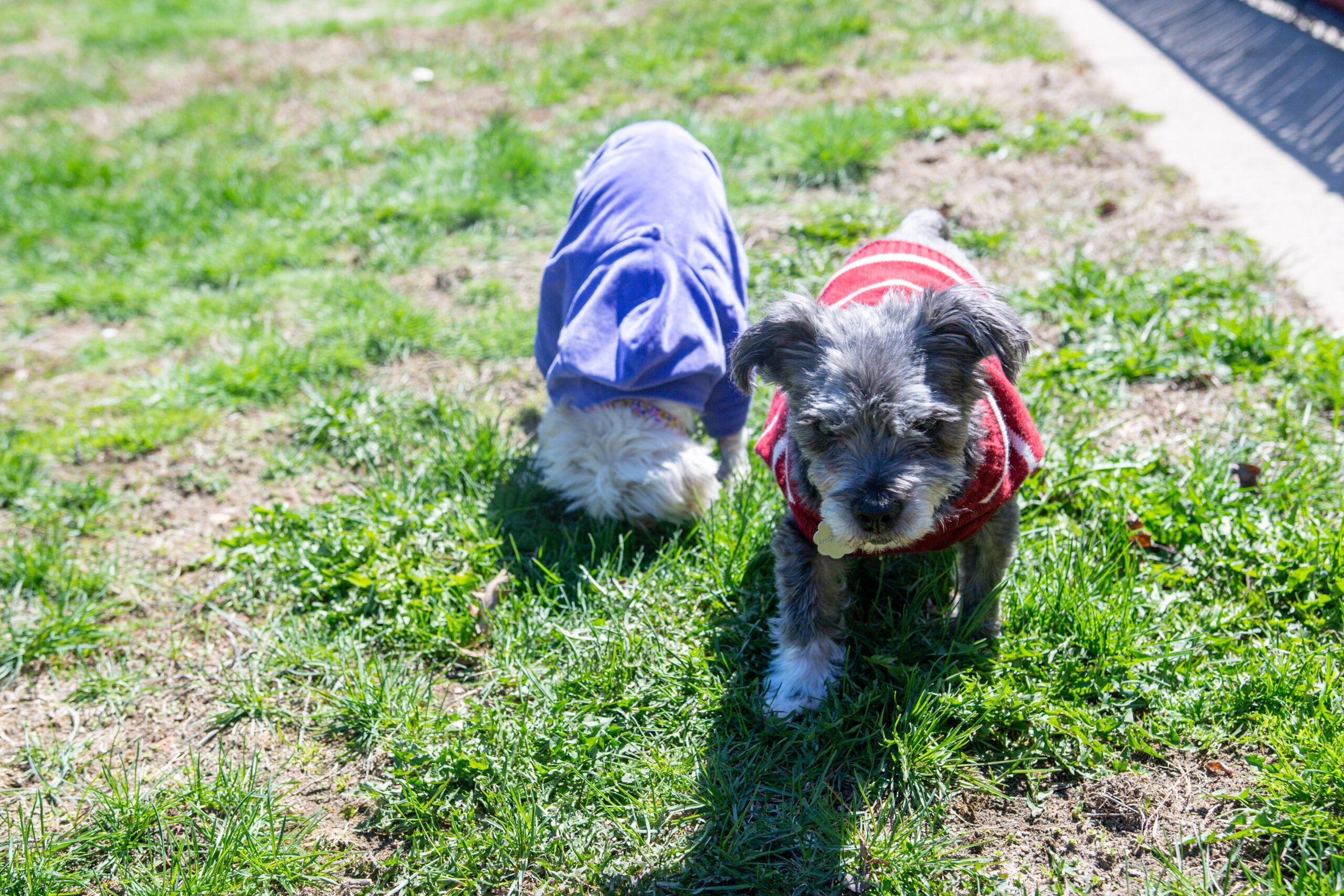 Together Through It All: May & Paris