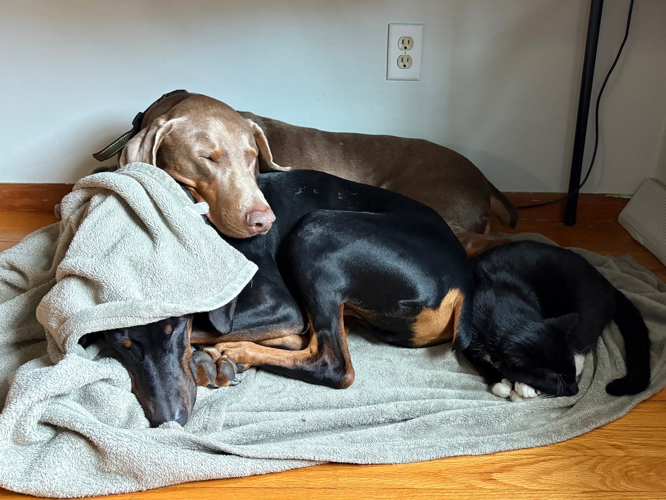 Business now Bentley