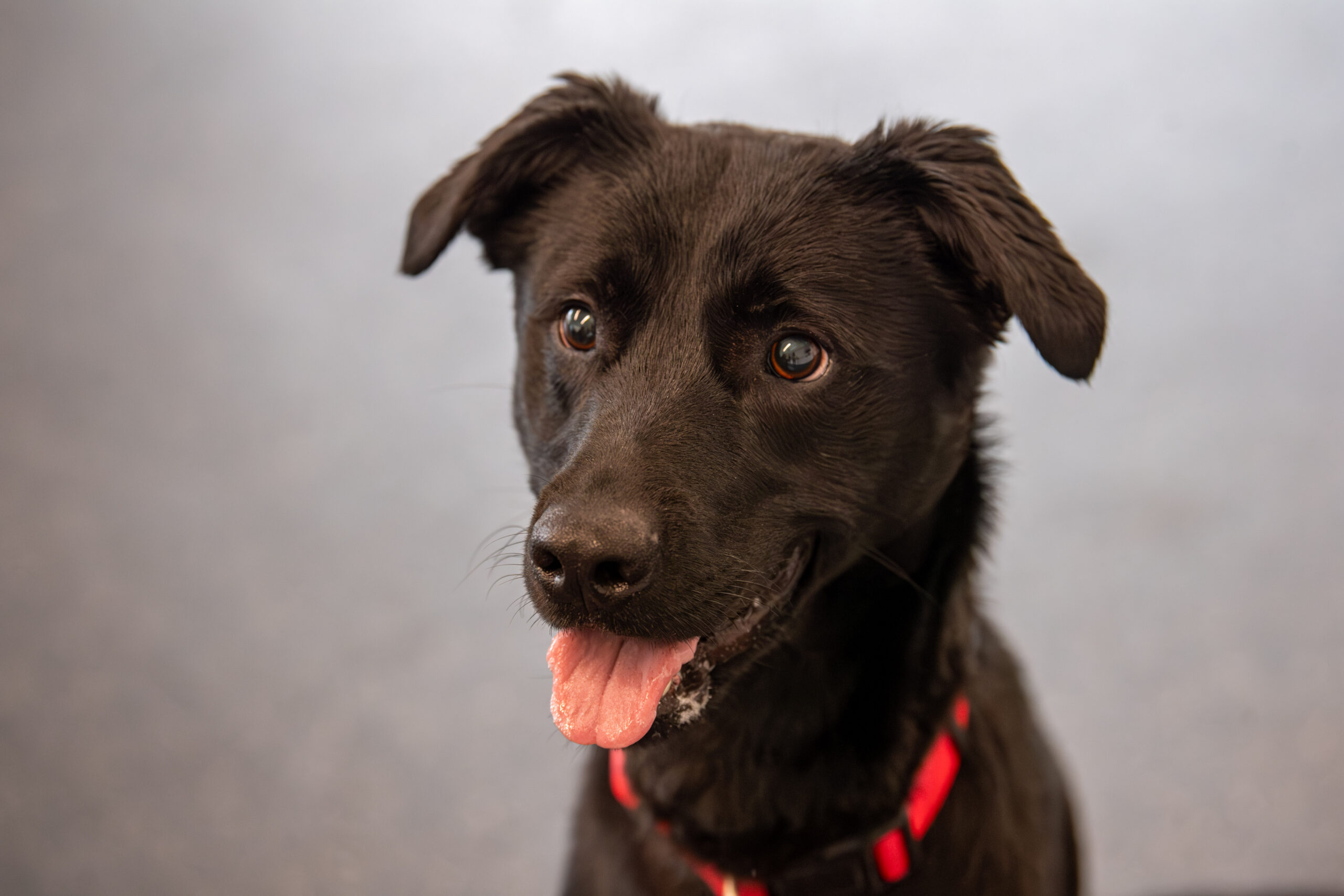 Knock It Out of the Park with Fenway