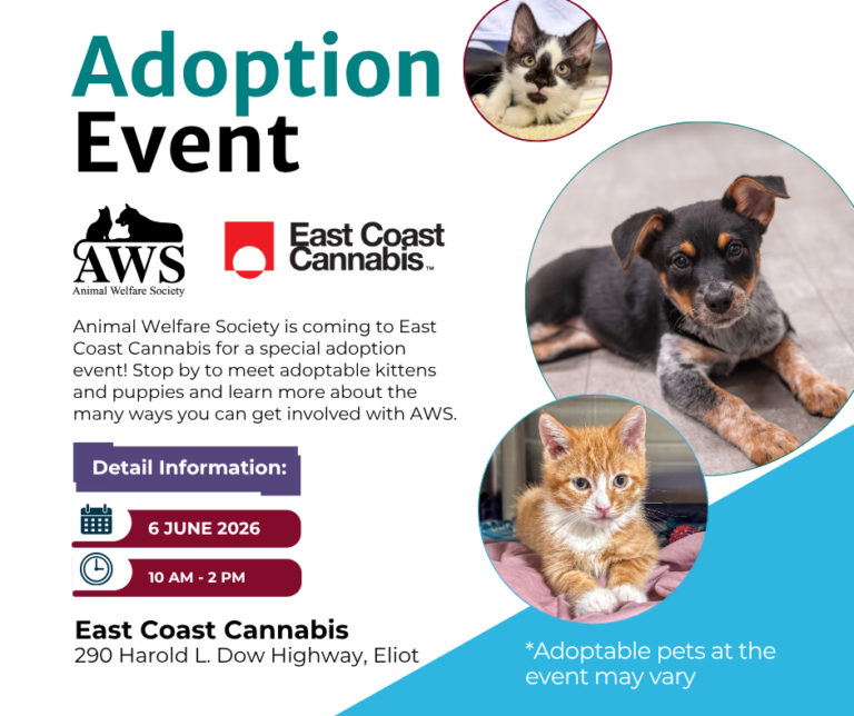 Animal Welfare Society adoption event at East Coast Cannabis in Lebanon, ME