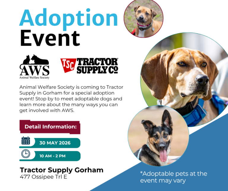 Animal Welfare Society adoption event at Tractor Supply Co in Gorham, ME