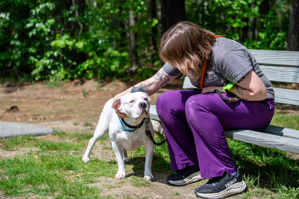 Odette, an adoptable dog at AWS, is pet by a staff member sitting on a bench. AWS Pet of the Week 2026.