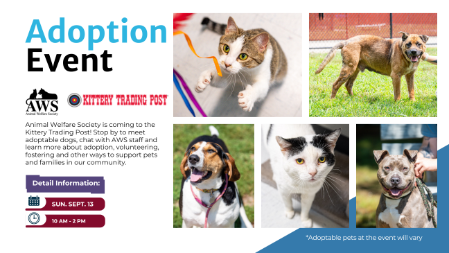 Adoption Event Sept 13 Kittery Trading Post
