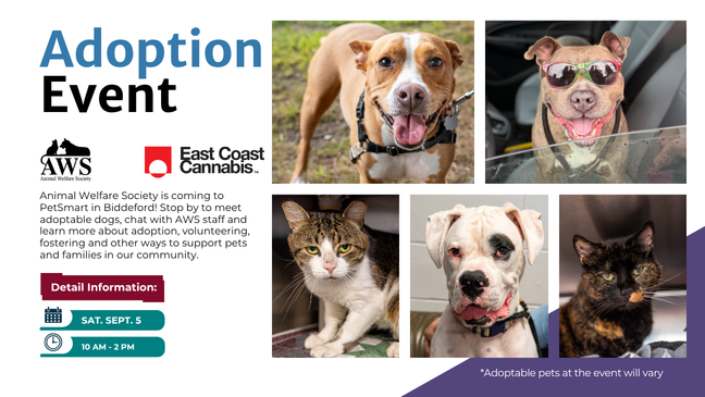 AWS Adoption Event on Sept 5 at East Coast Cannabis in Lebanon