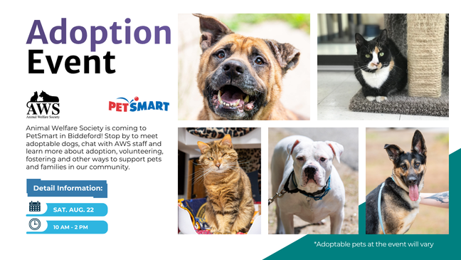 AWS Adoption Event on Aug 8 at PetSmart Biddeford