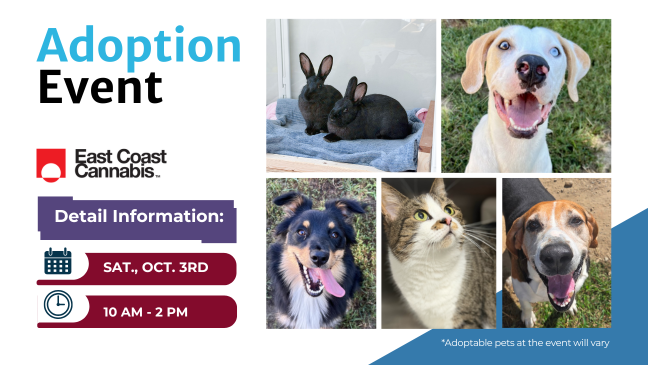 10/3 Adoption Event at East Coast Cannabis in Lebanon, ME