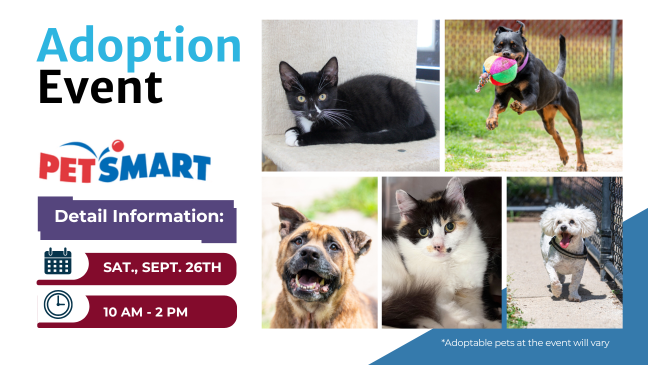 9/26 Adoption Event at PetSmart in Biddeford, ME